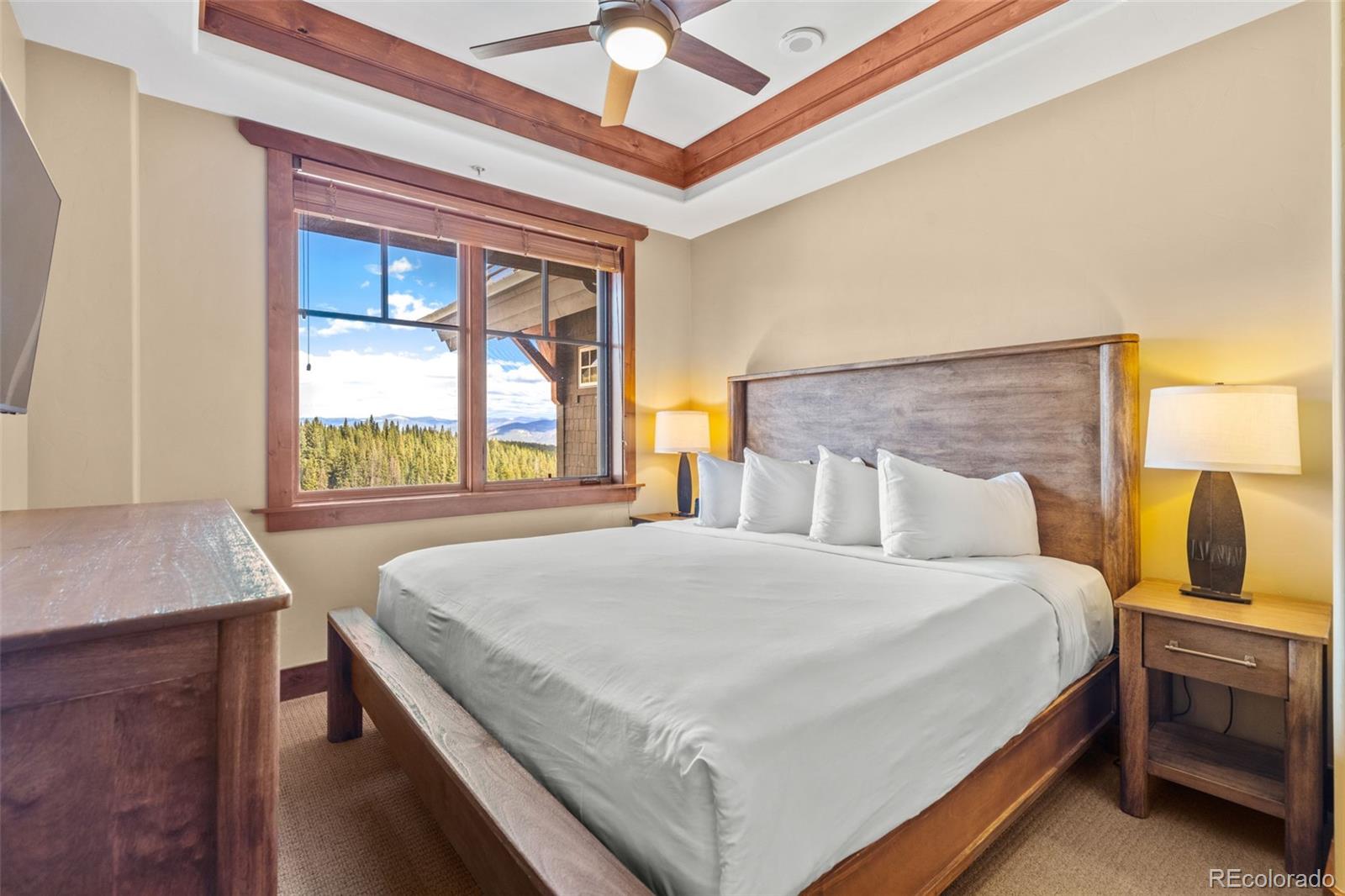 MLS Image #21 for 1521  ski hill road,breckenridge, Colorado