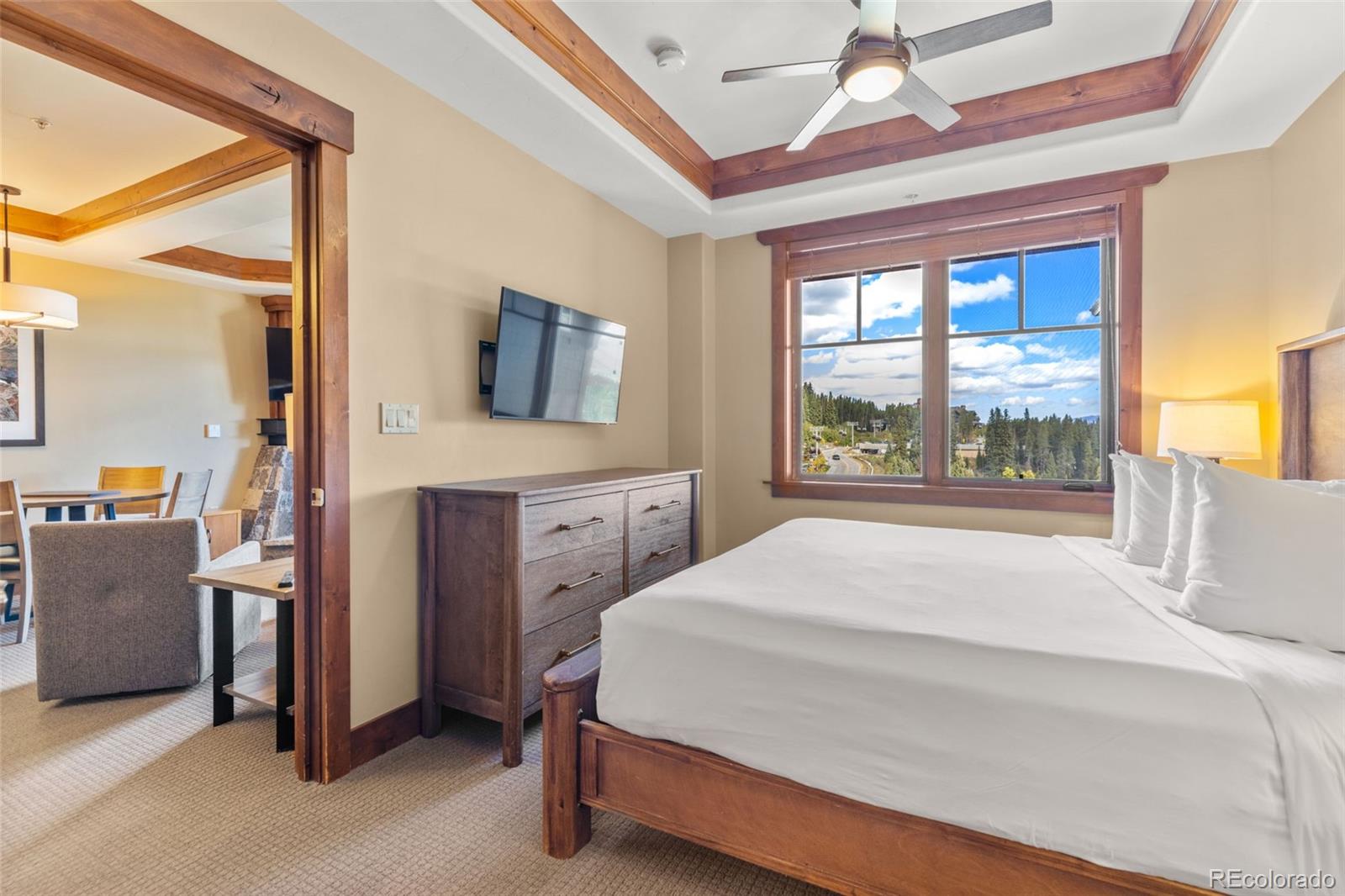 MLS Image #22 for 1521  ski hill road,breckenridge, Colorado