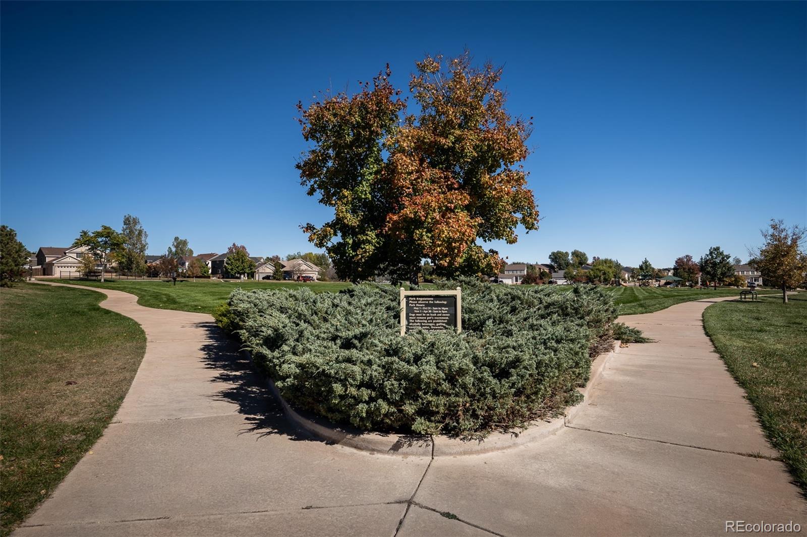 MLS Image #48 for 6395  la plata peak drive,colorado springs, Colorado