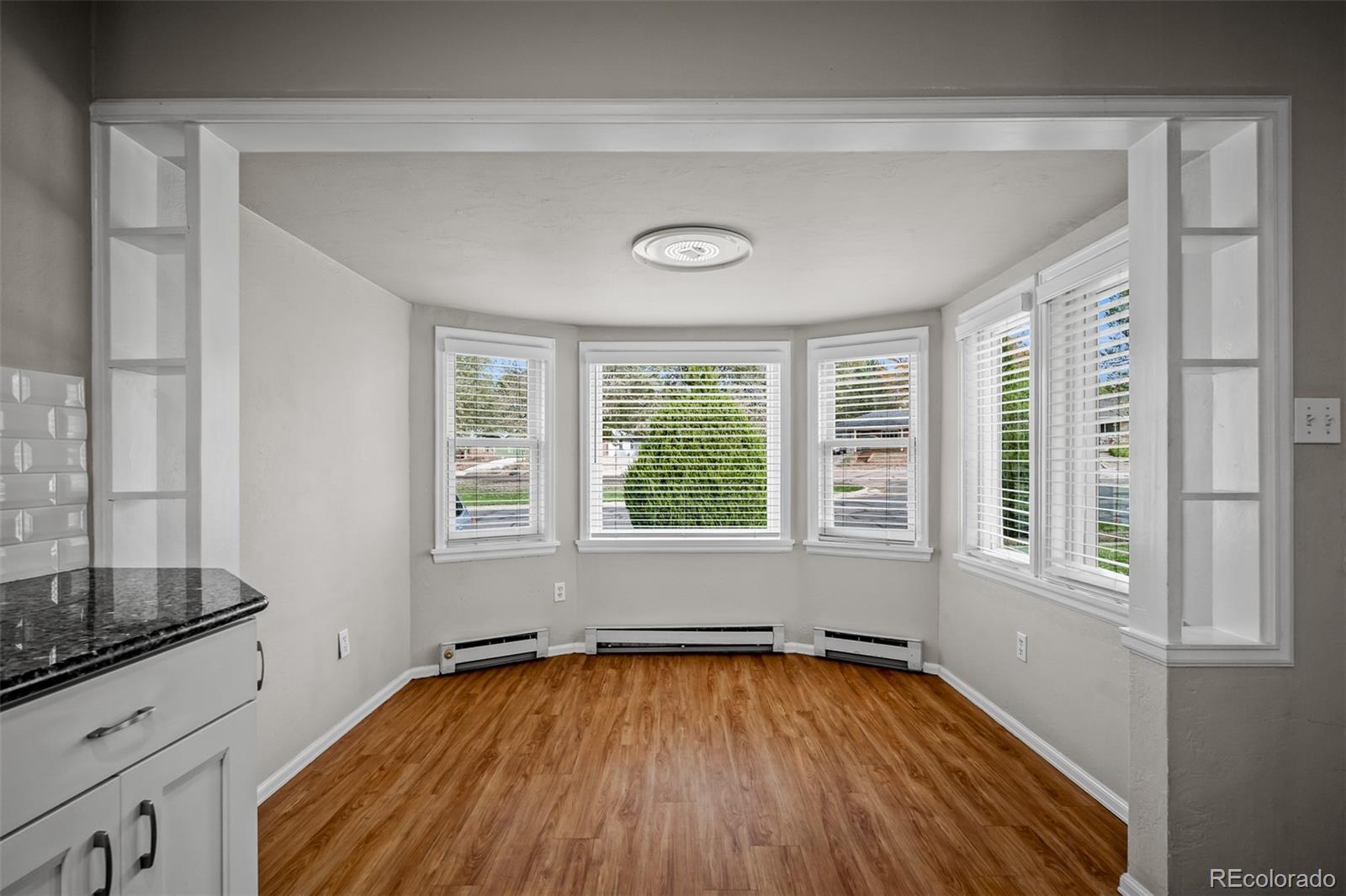 MLS Image #13 for 1413 e madison street,colorado springs, Colorado