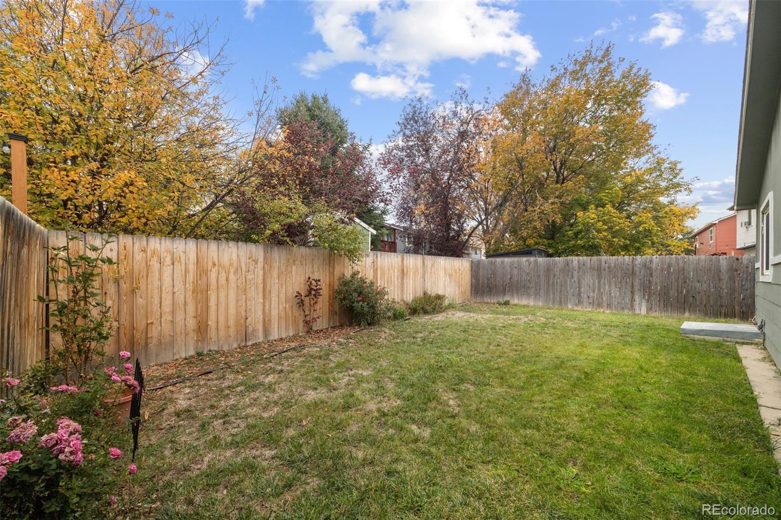 MLS Image #32 for 1862  mount sneffels street,longmont, Colorado