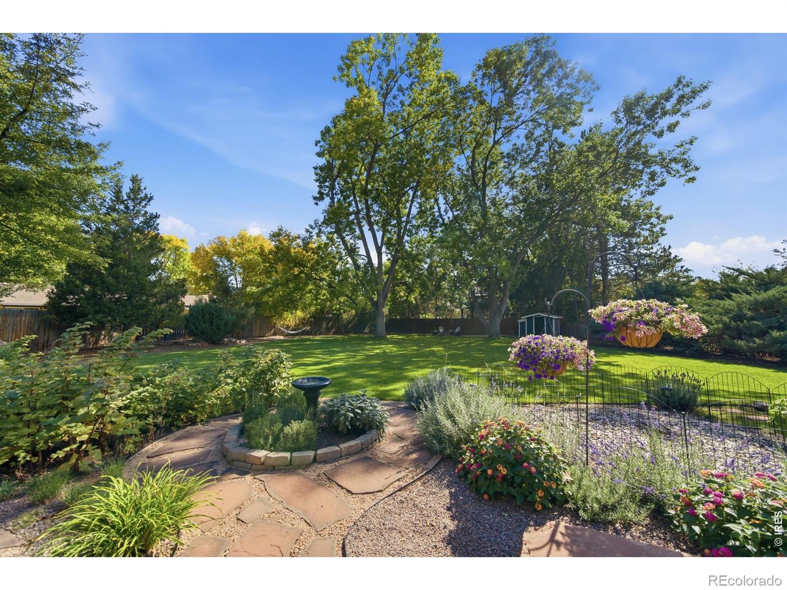 MLS Image #5 for 1133  buttonwood drive,fort collins, Colorado
