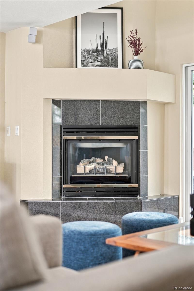 MLS Image #10 for 519  madison street,denver, Colorado