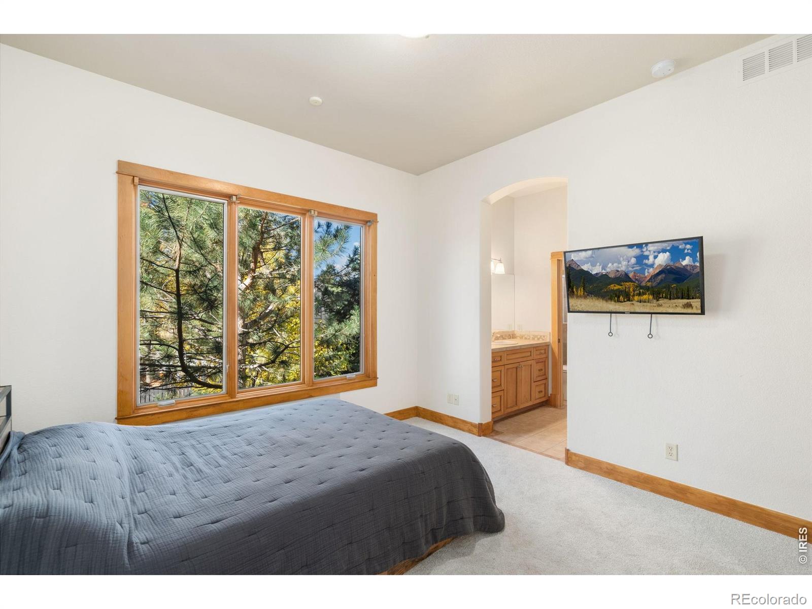MLS Image #23 for 1224  wyndham hill road,fort collins, Colorado