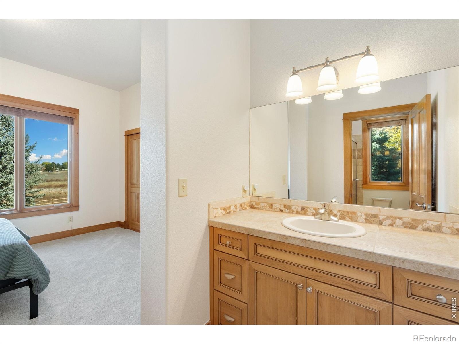MLS Image #24 for 1224  wyndham hill road,fort collins, Colorado