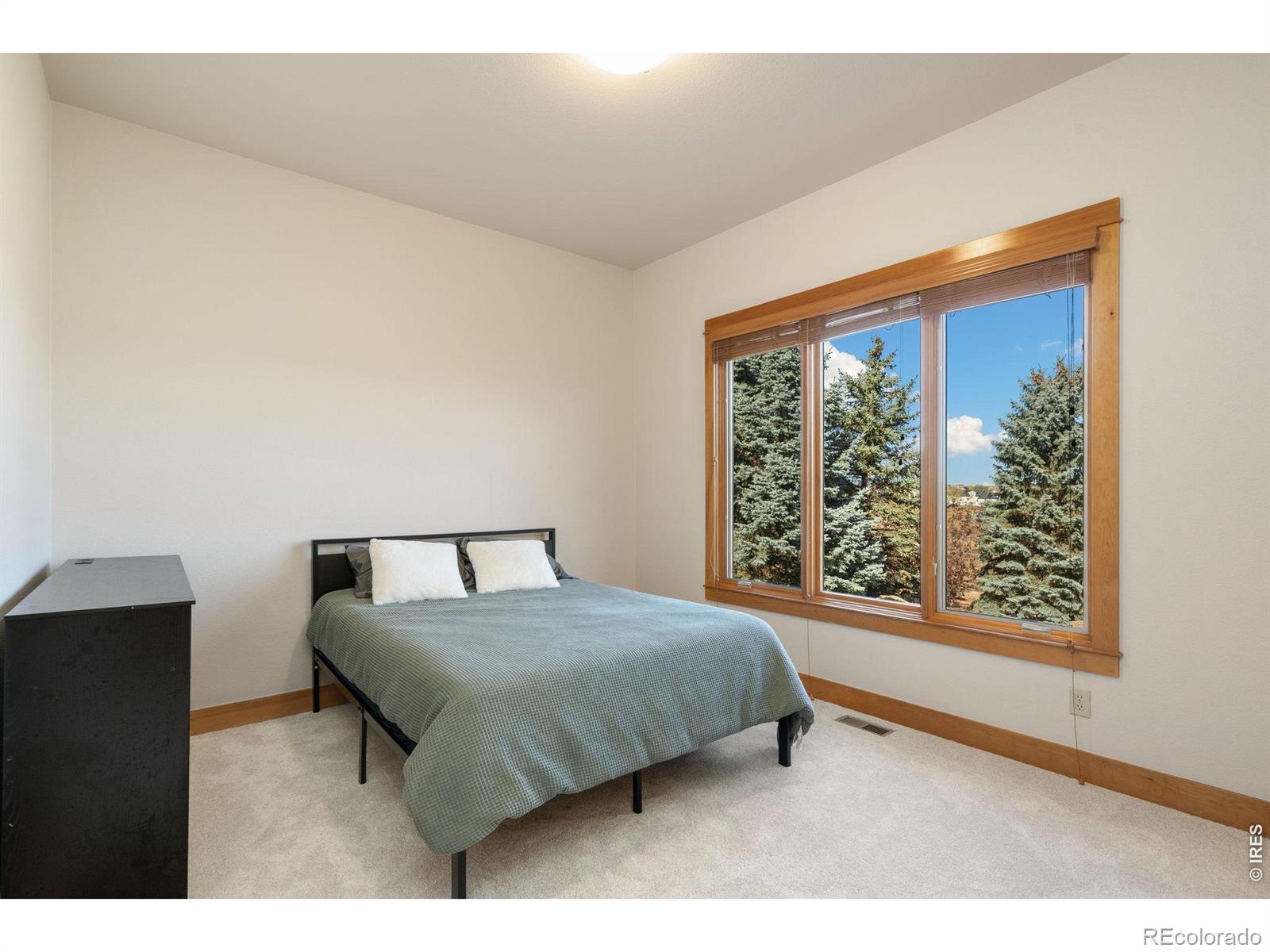 MLS Image #26 for 1224  wyndham hill road,fort collins, Colorado
