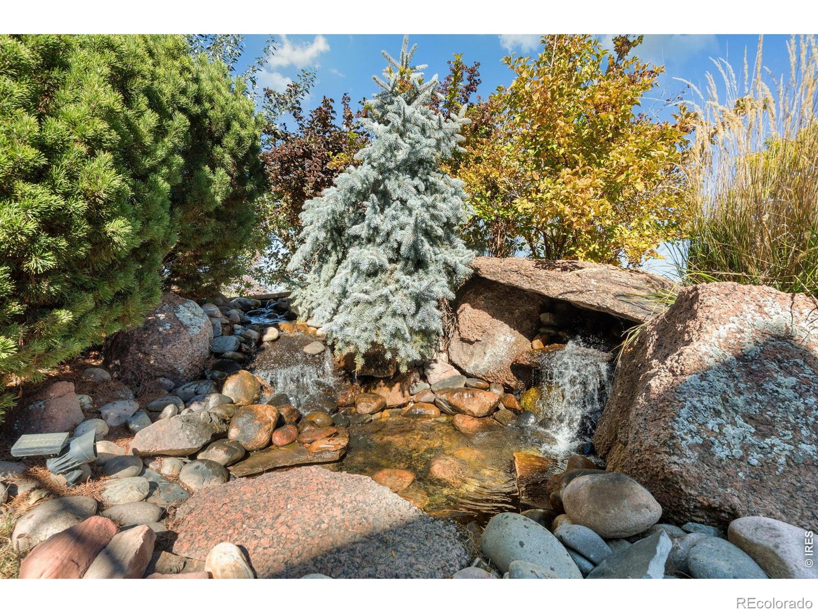 MLS Image #42 for 1224  wyndham hill road,fort collins, Colorado