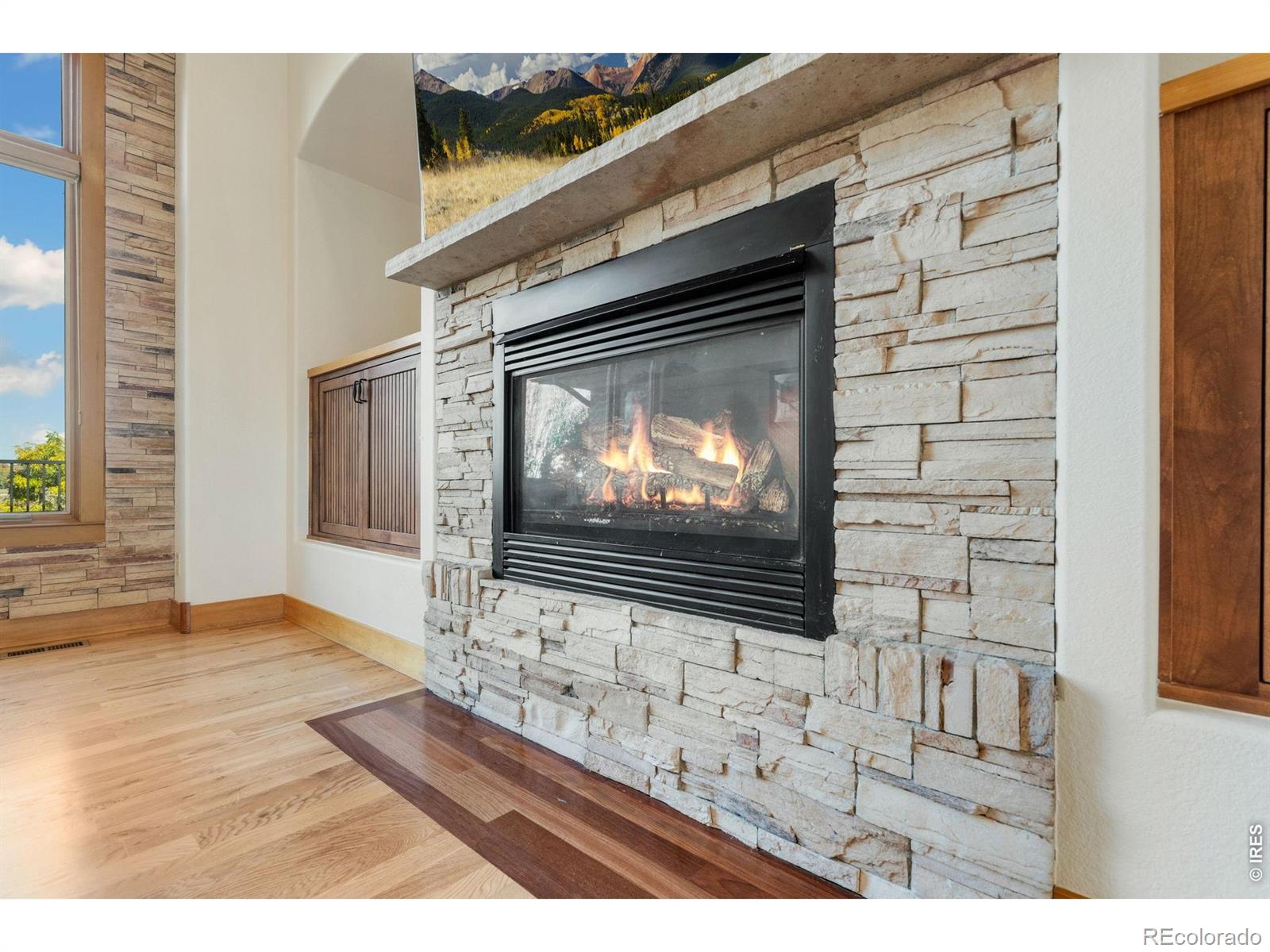 MLS Image #8 for 1224  wyndham hill road,fort collins, Colorado