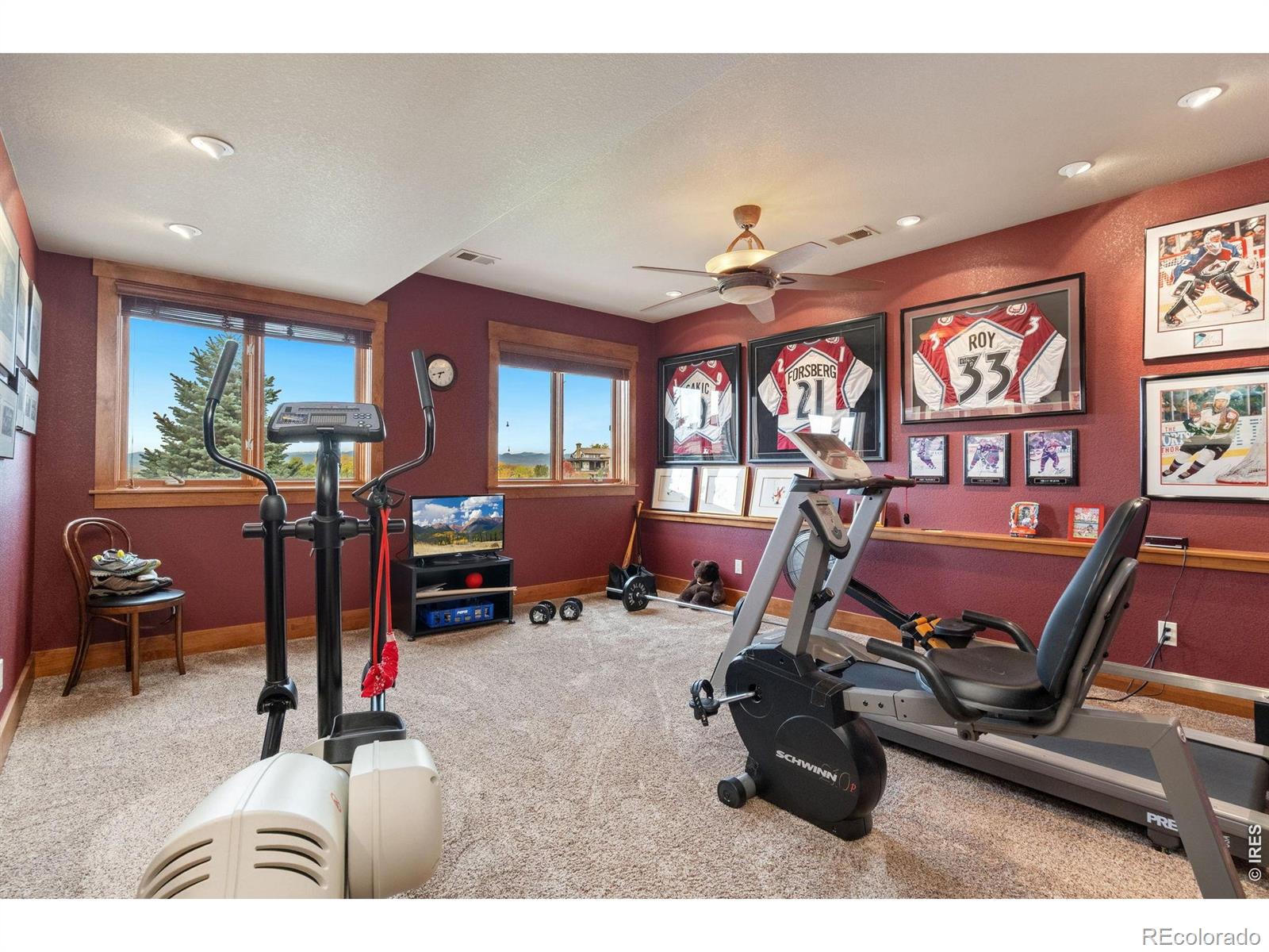 MLS Image #34 for 4045  greenside lane,timnath, Colorado