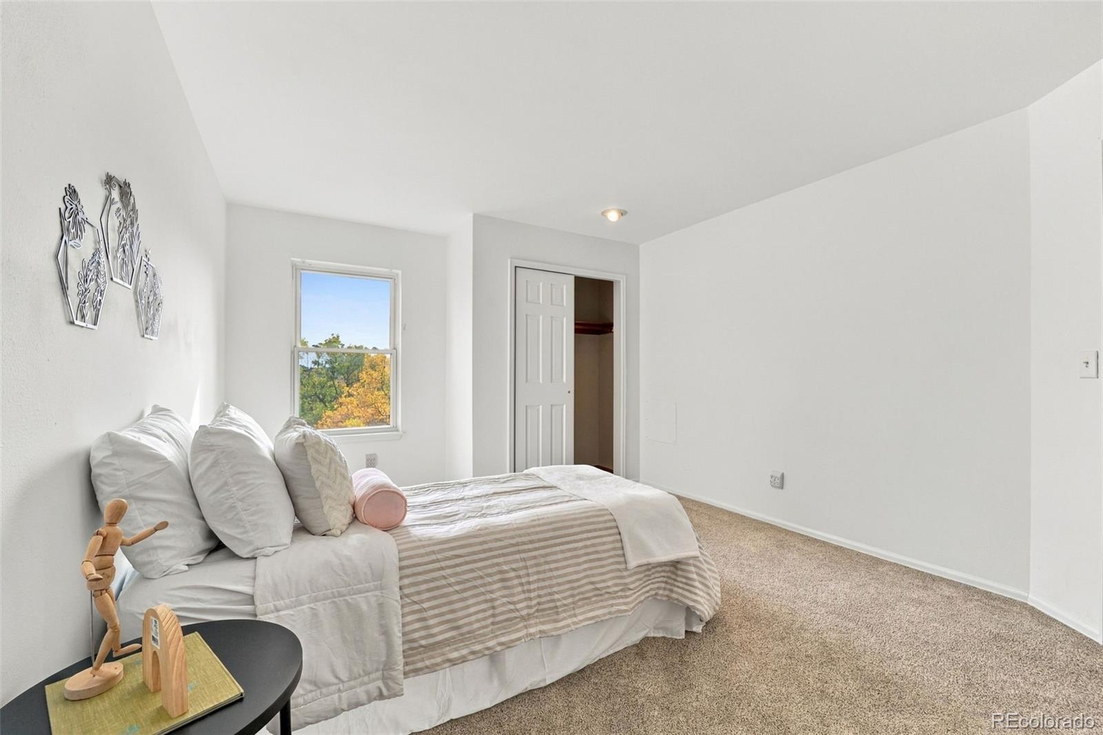 MLS Image #20 for 35  ravenglass way,colorado springs, Colorado