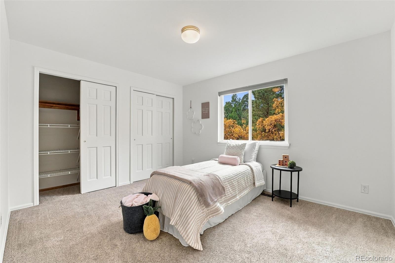MLS Image #22 for 35  ravenglass way,colorado springs, Colorado