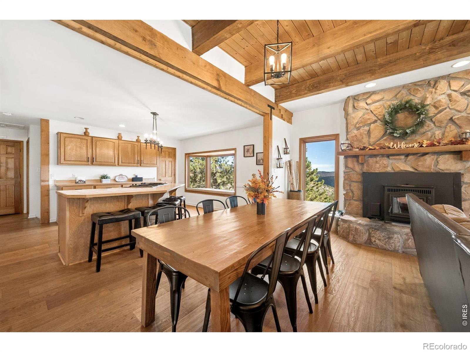 MLS Image #13 for 614  eagle trail,bailey, Colorado