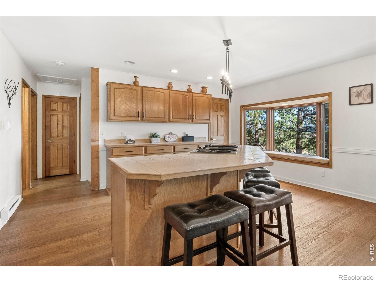 MLS Image #15 for 614  eagle trail,bailey, Colorado
