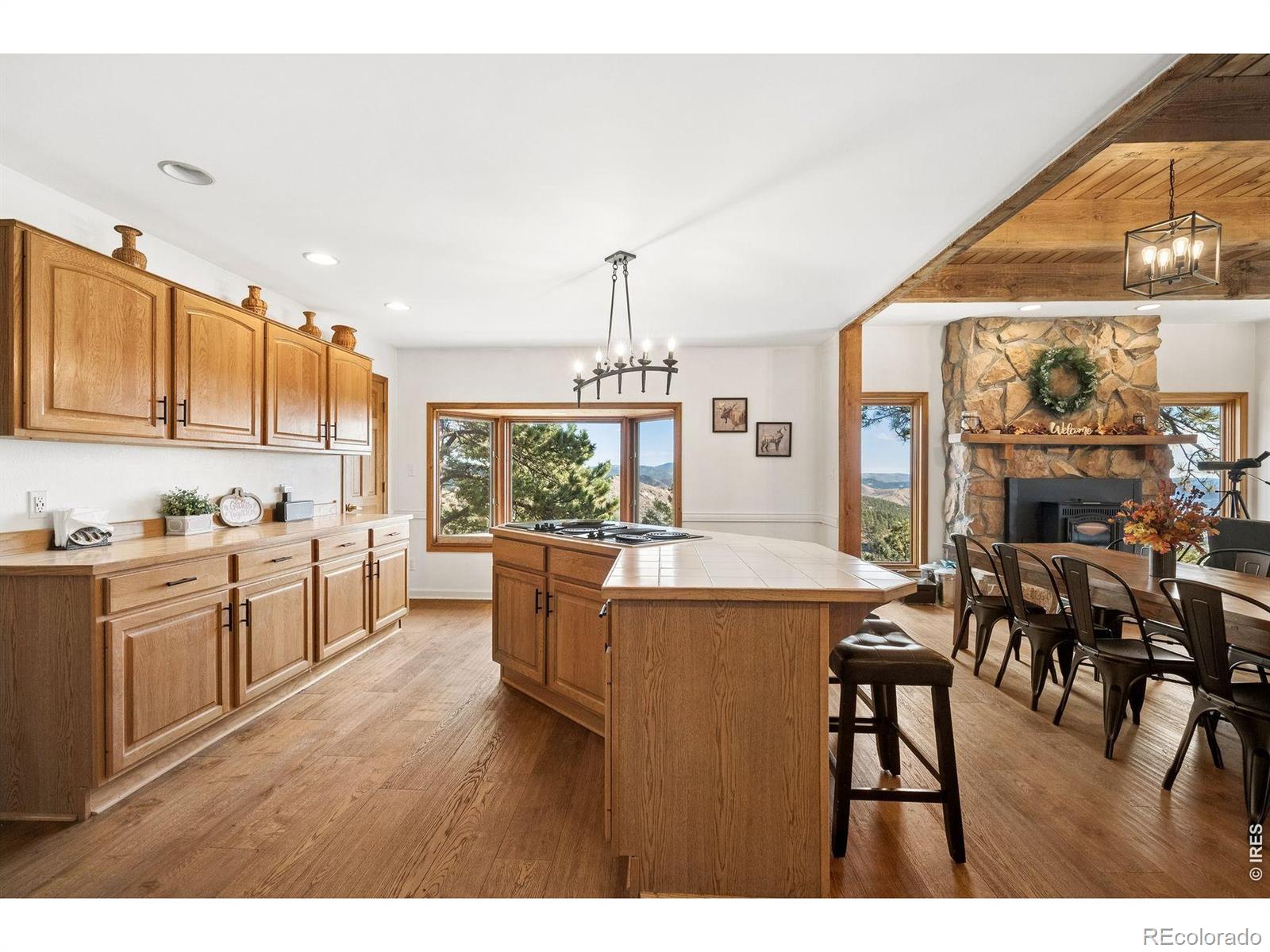 MLS Image #17 for 614  eagle trail,bailey, Colorado