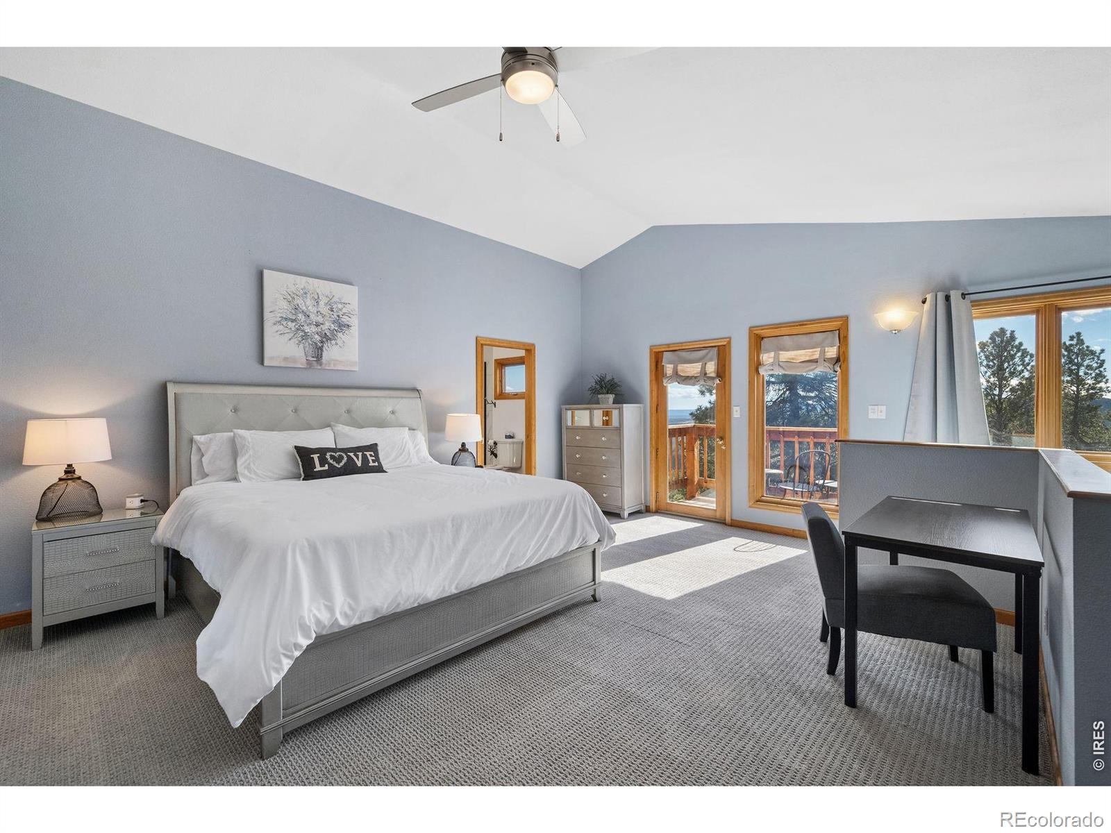 MLS Image #21 for 614  eagle trail,bailey, Colorado