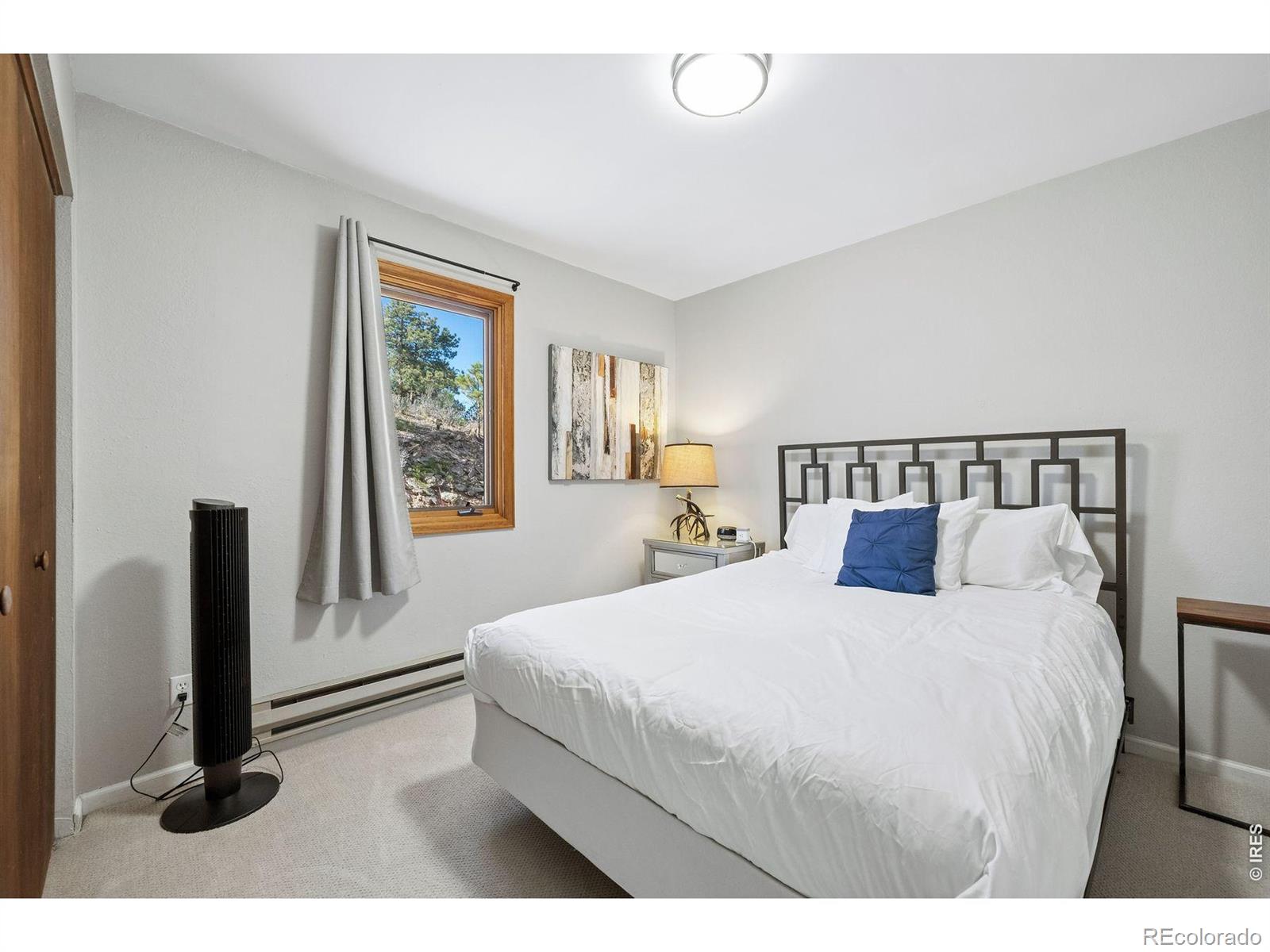 MLS Image #27 for 614  eagle trail,bailey, Colorado
