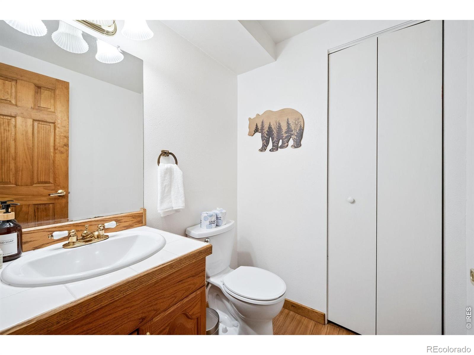 MLS Image #35 for 614  eagle trail,bailey, Colorado