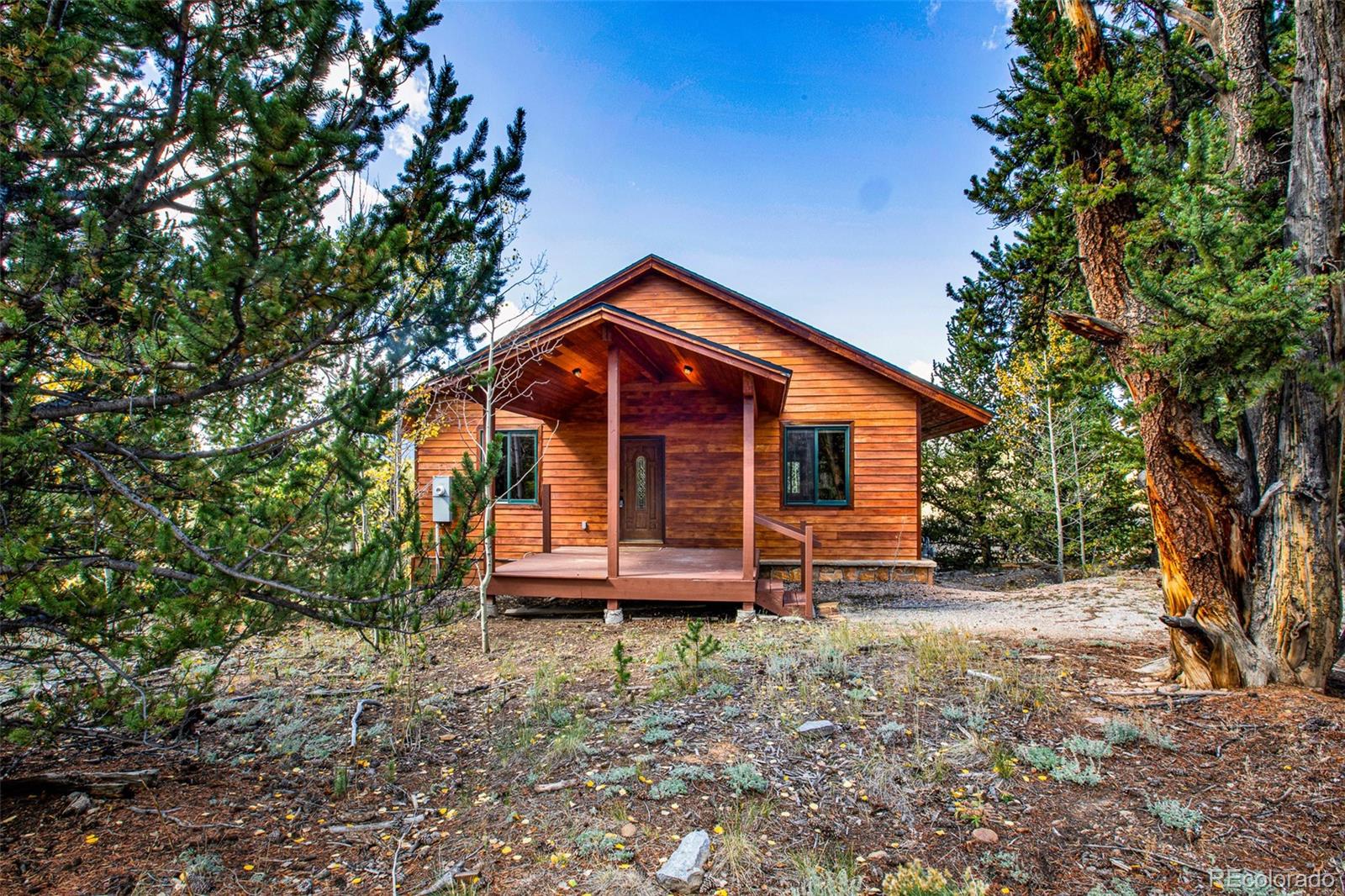 MLS Image #13 for 288  sleepy grass ,fairplay, Colorado