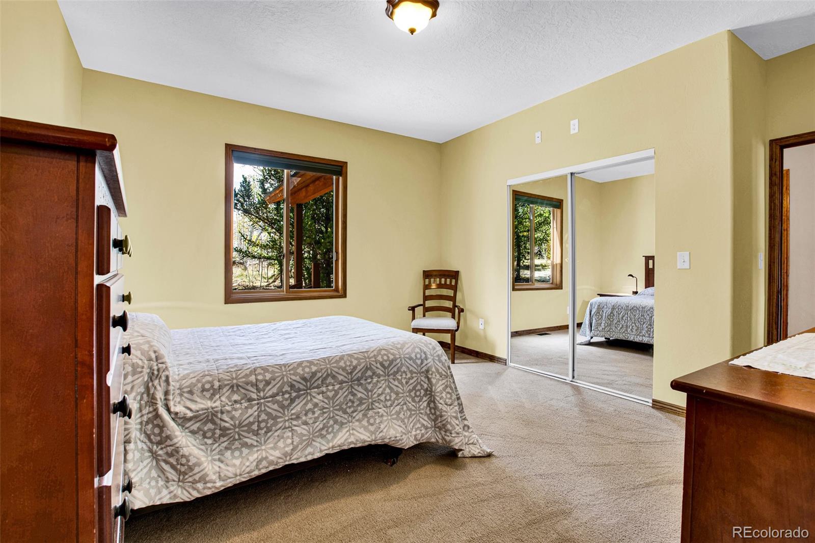 MLS Image #16 for 288  sleepy grass ,fairplay, Colorado