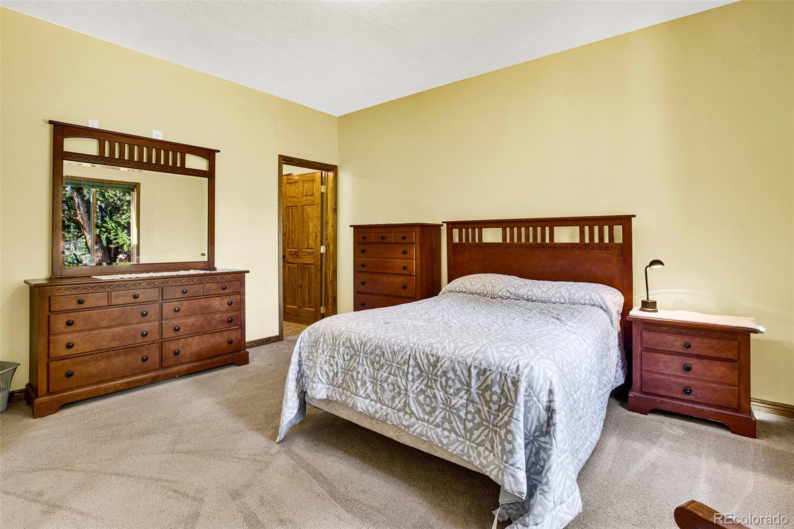 MLS Image #17 for 288  sleepy grass ,fairplay, Colorado