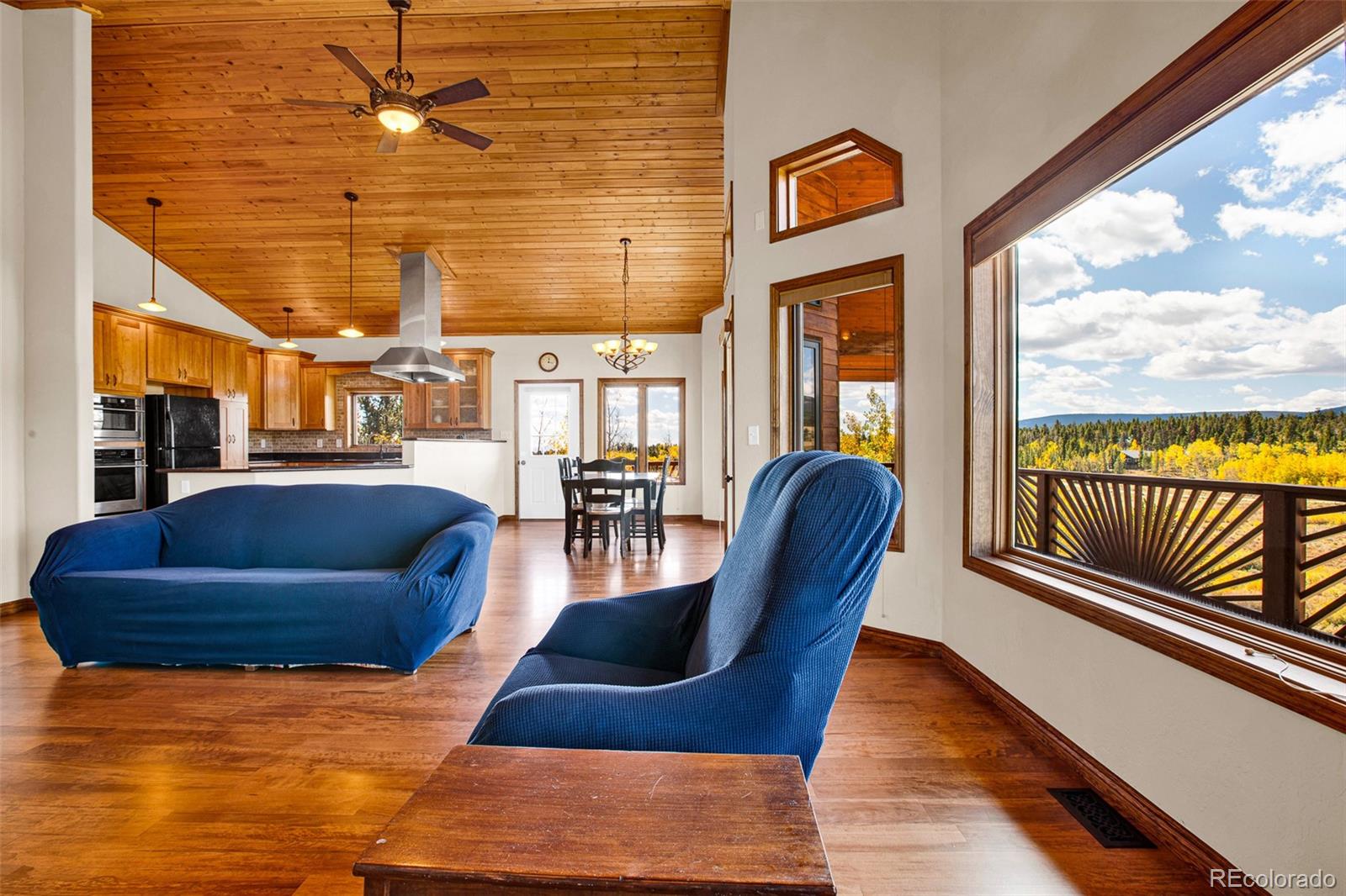 MLS Image #24 for 288  sleepy grass ,fairplay, Colorado