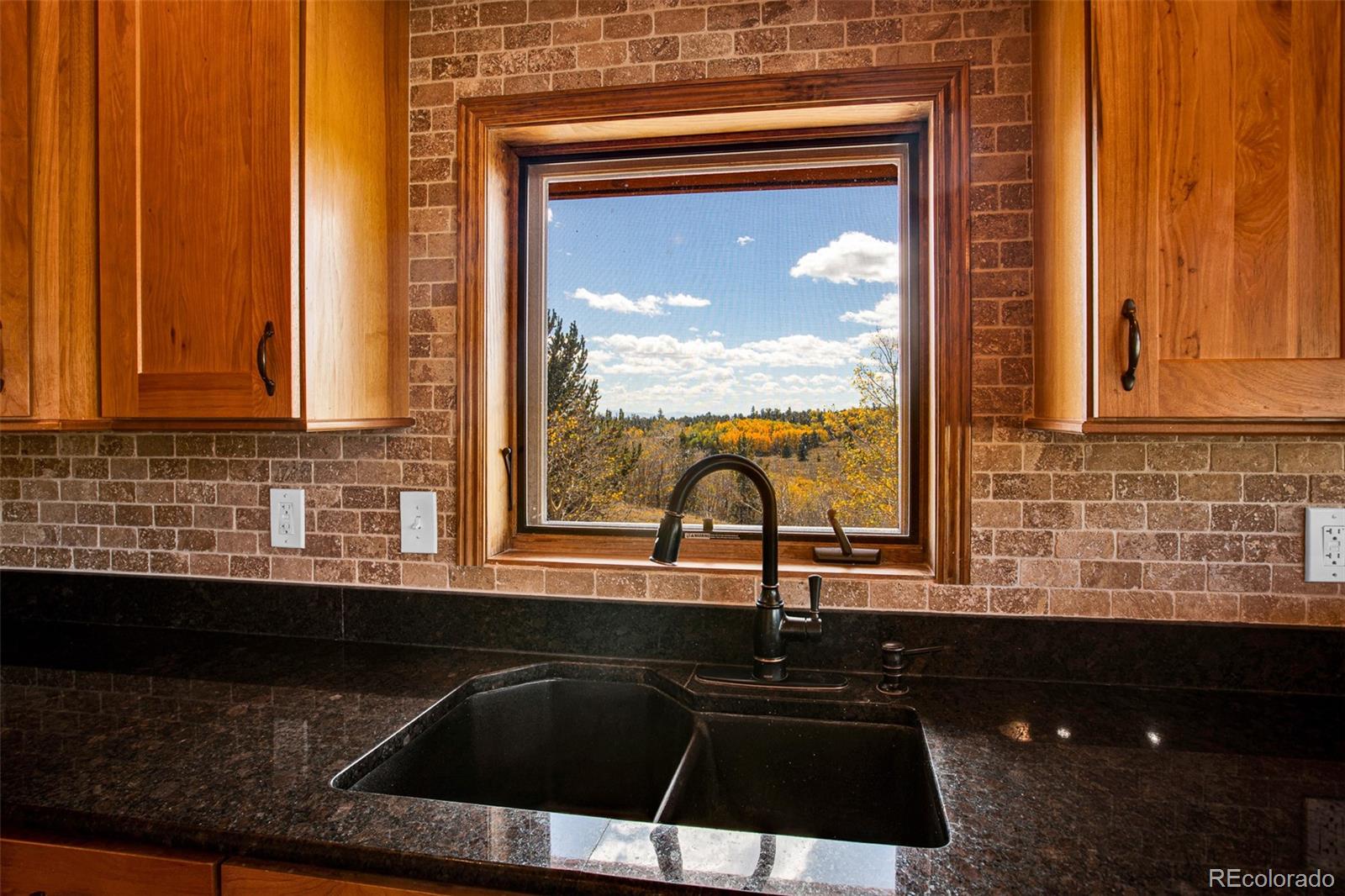 MLS Image #26 for 288  sleepy grass ,fairplay, Colorado