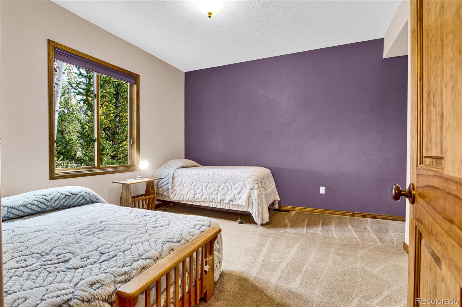 MLS Image #37 for 288  sleepy grass ,fairplay, Colorado