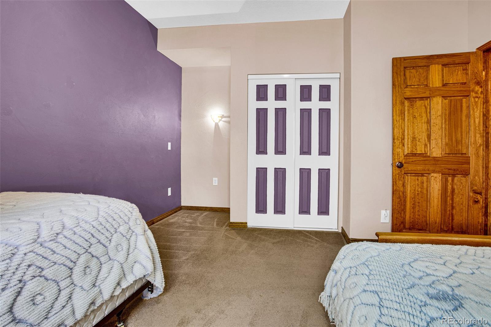MLS Image #38 for 288  sleepy grass ,fairplay, Colorado