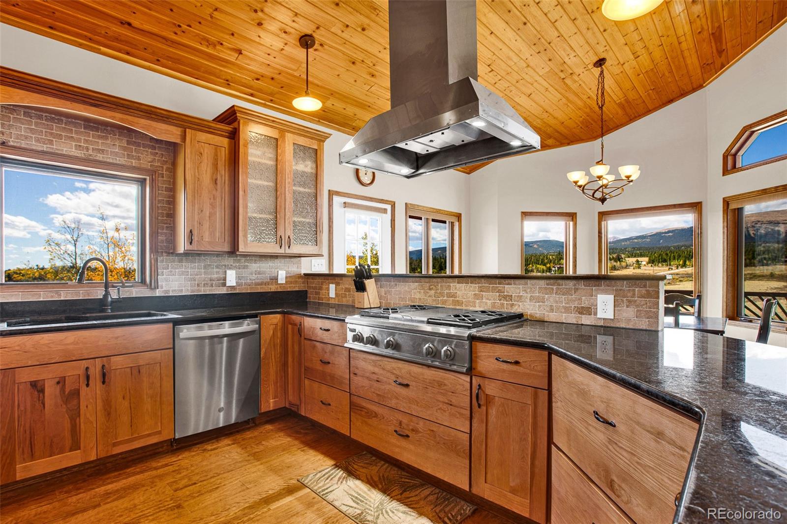 MLS Image #4 for 288  sleepy grass ,fairplay, Colorado