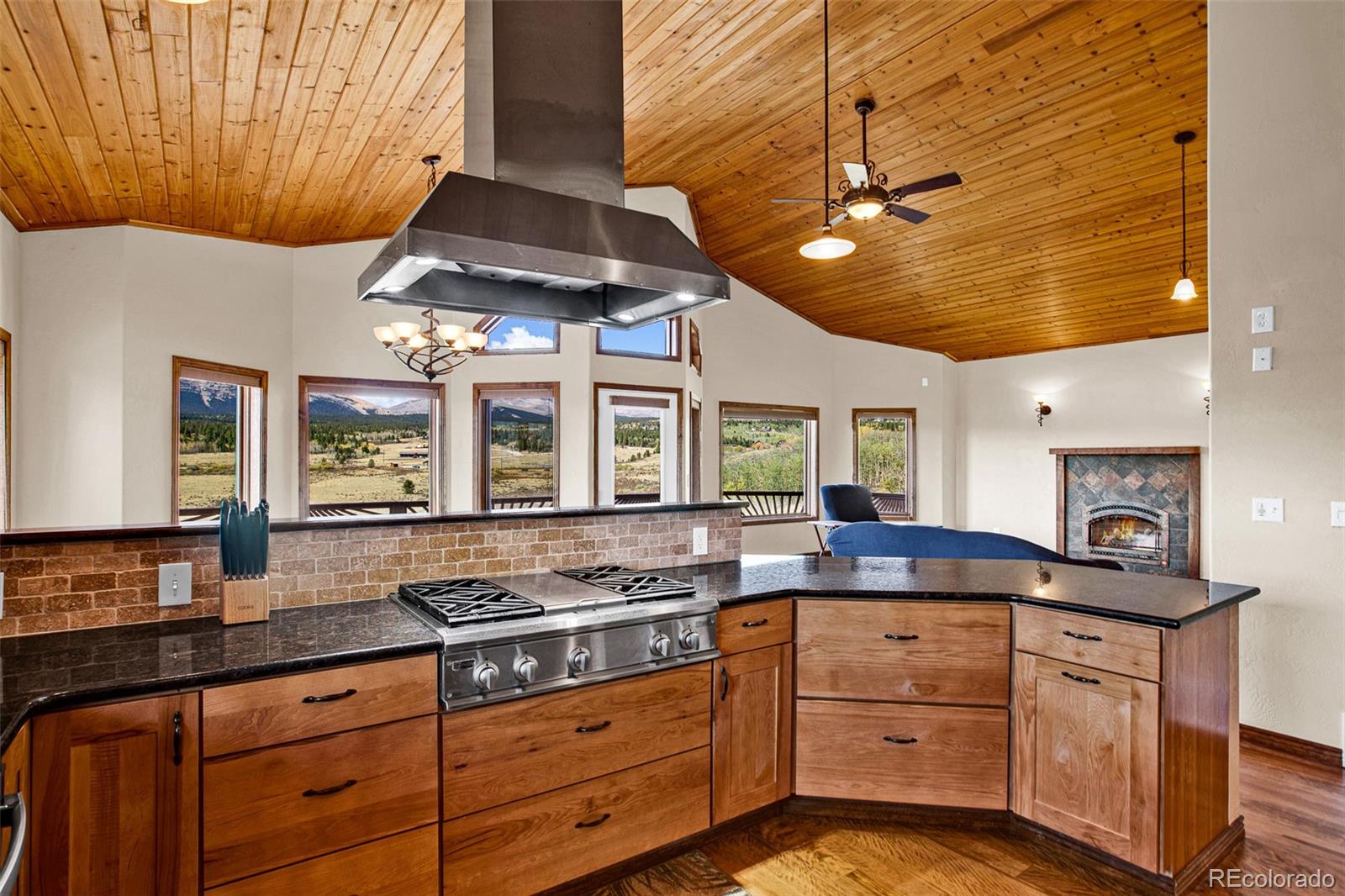 MLS Image #5 for 288  sleepy grass ,fairplay, Colorado