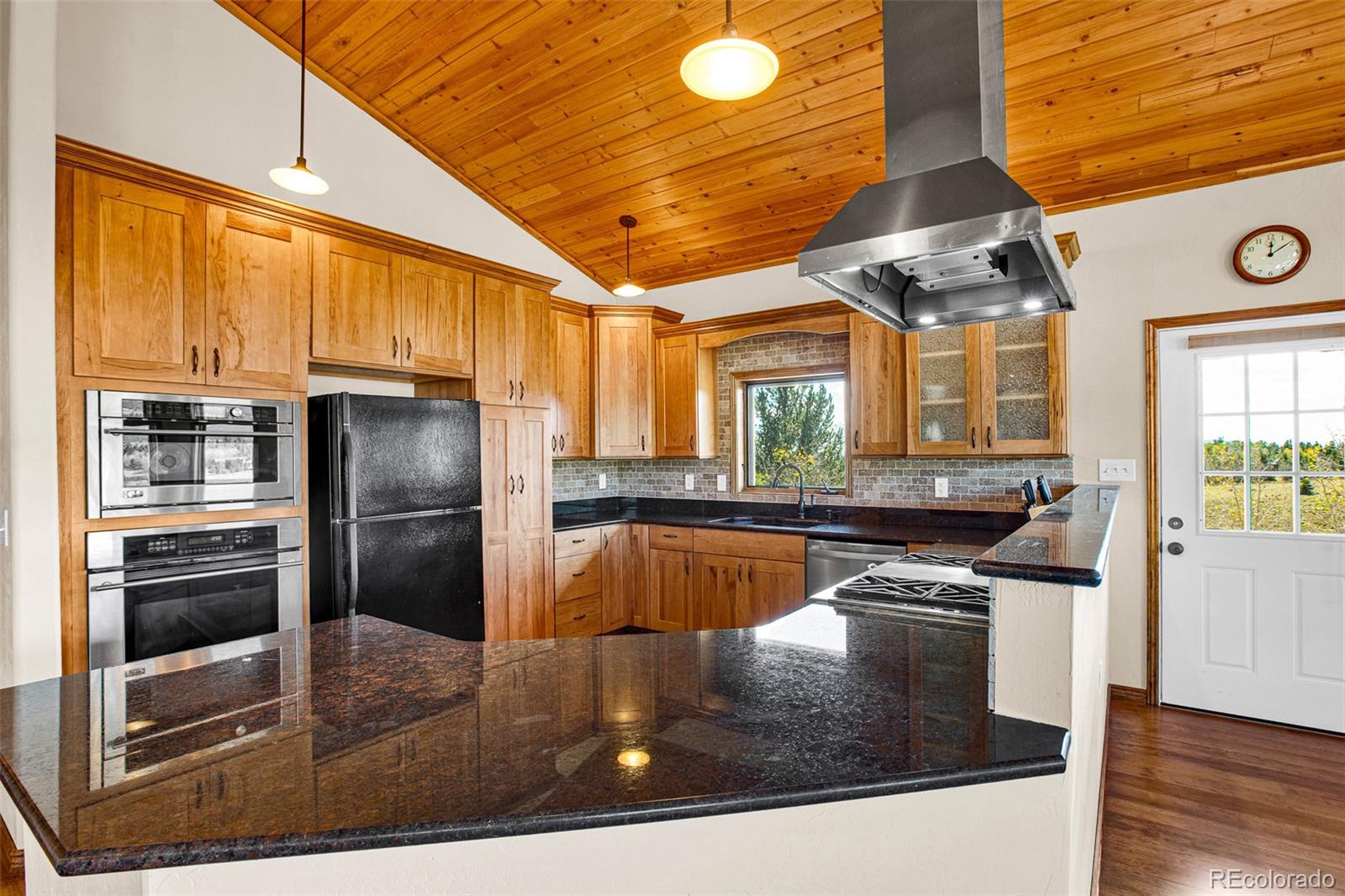 MLS Image #6 for 288  sleepy grass ,fairplay, Colorado