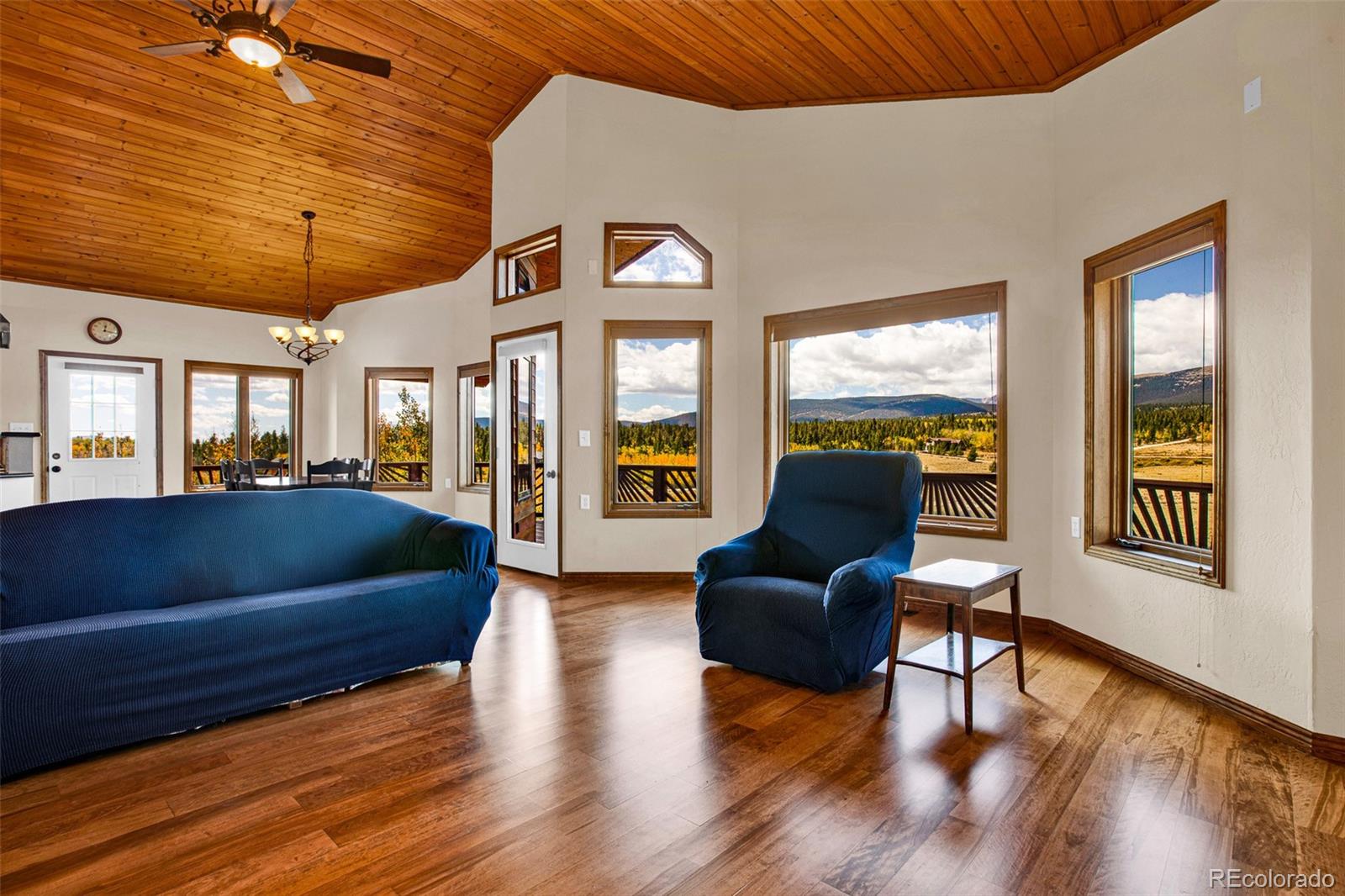 MLS Image #7 for 288  sleepy grass ,fairplay, Colorado
