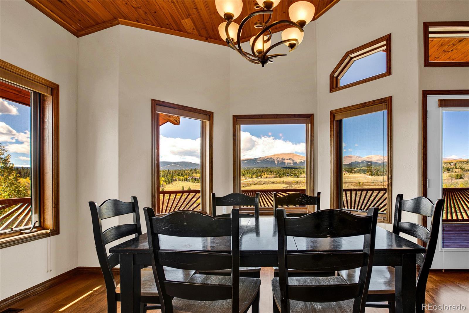 MLS Image #8 for 288  sleepy grass ,fairplay, Colorado