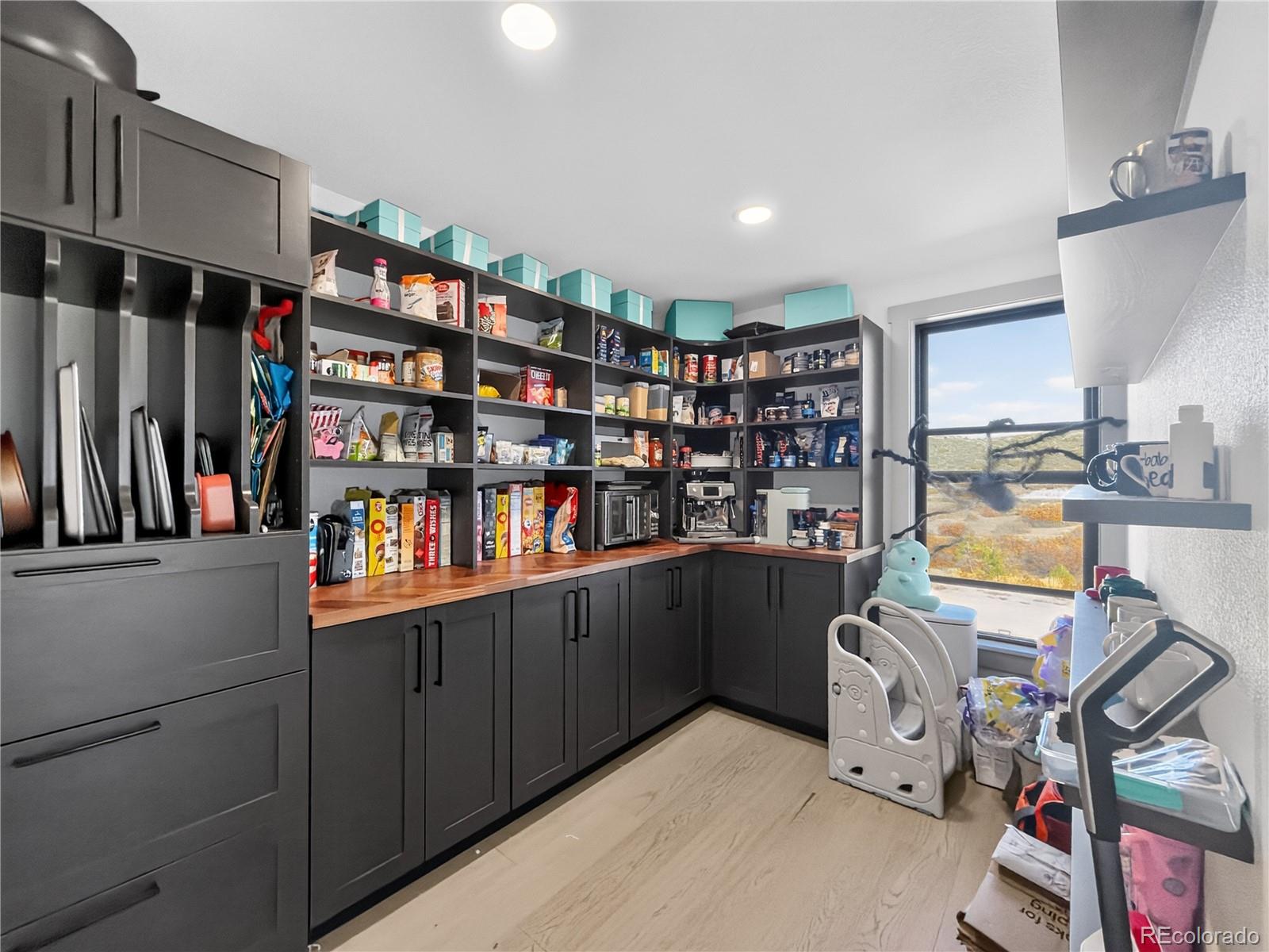 MLS Image #12 for 2808  haystack road,castle rock, Colorado