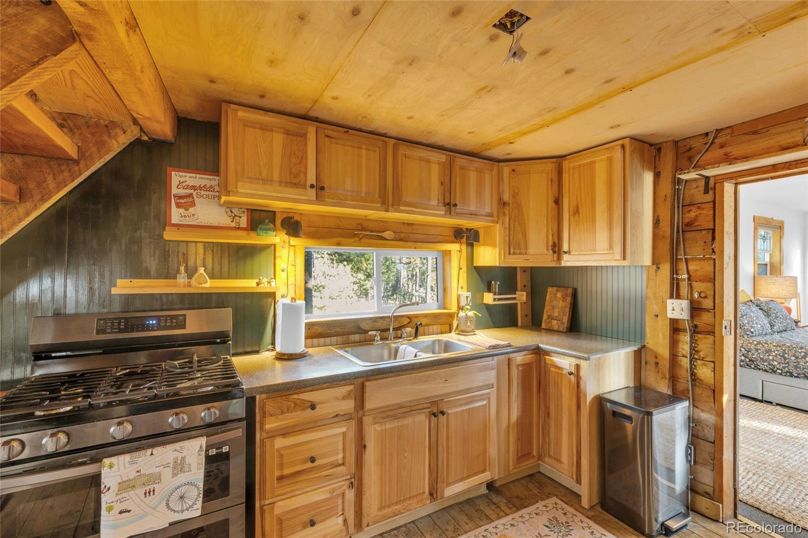 MLS Image #10 for 10960  webb avenue,conifer, Colorado