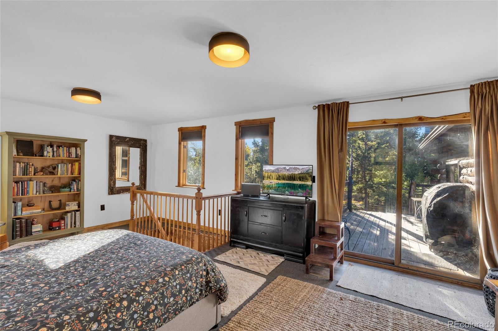 MLS Image #13 for 10960  webb avenue,conifer, Colorado