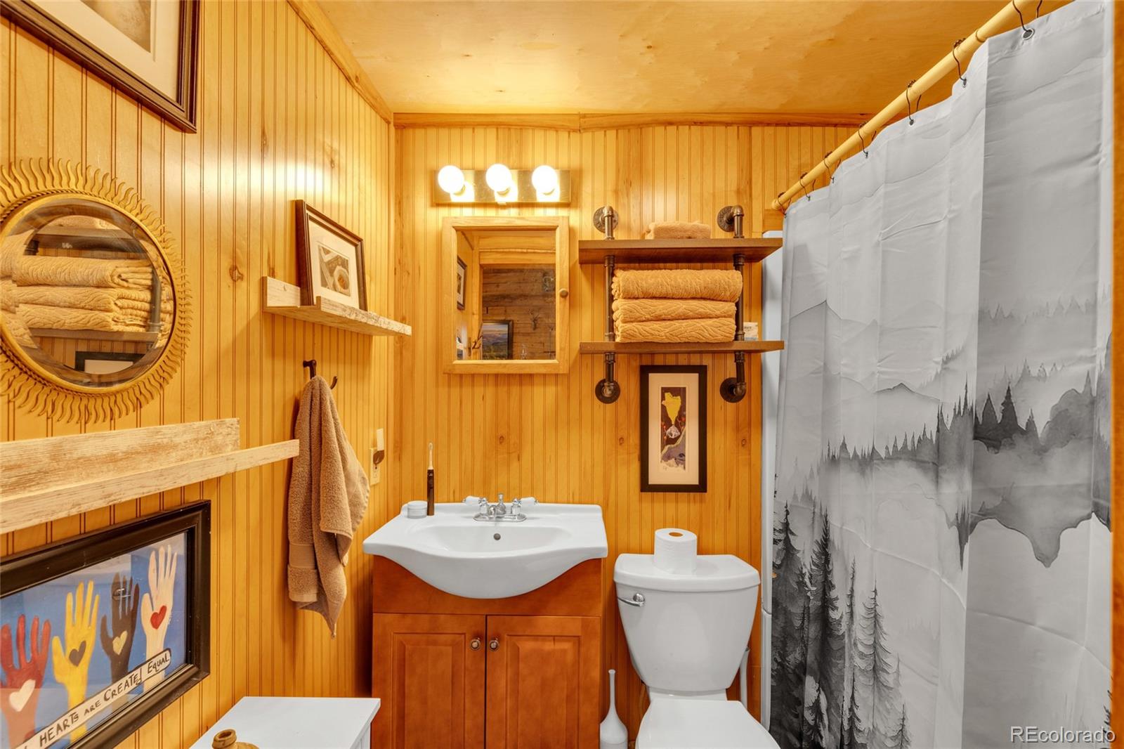 MLS Image #3 for 10960  webb avenue,conifer, Colorado