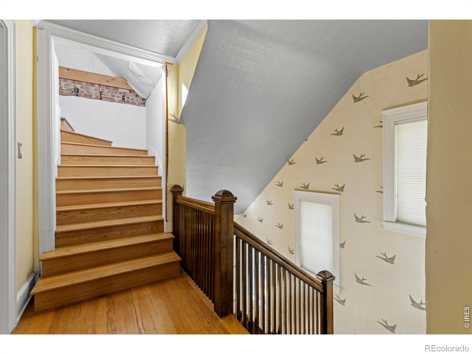 MLS Image #17 for 1206  3rd avenue,longmont, Colorado