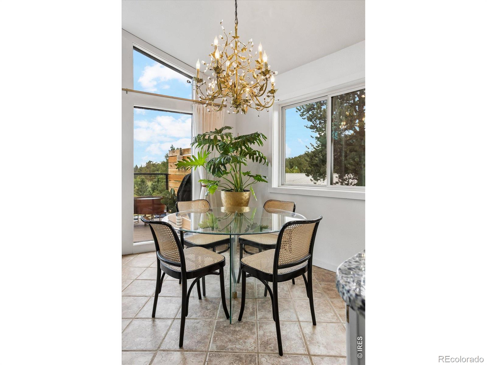 MLS Image #16 for 38  pinon road,bailey, Colorado