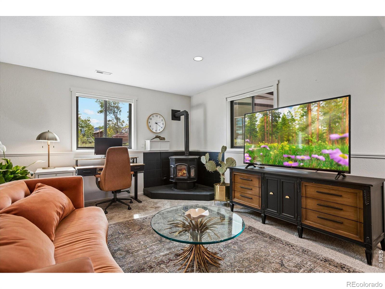 MLS Image #21 for 38  pinon road,bailey, Colorado