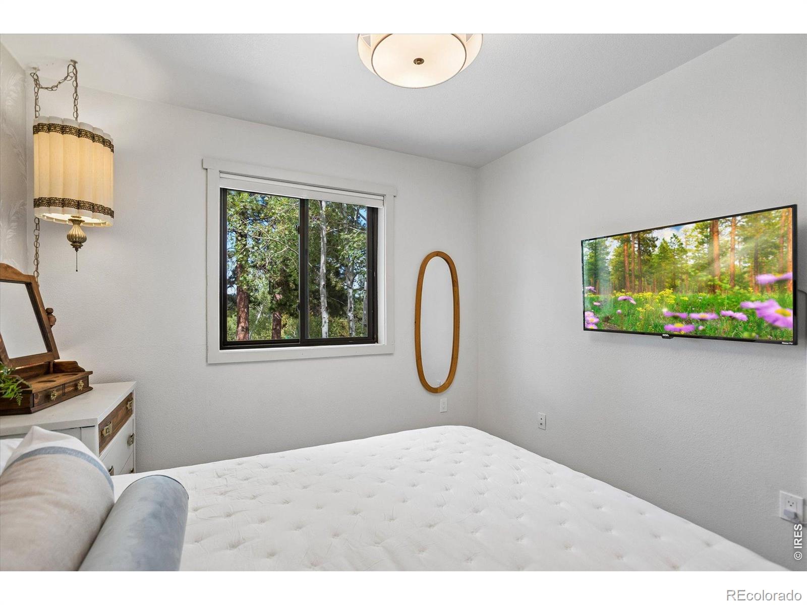 MLS Image #29 for 38  pinon road,bailey, Colorado