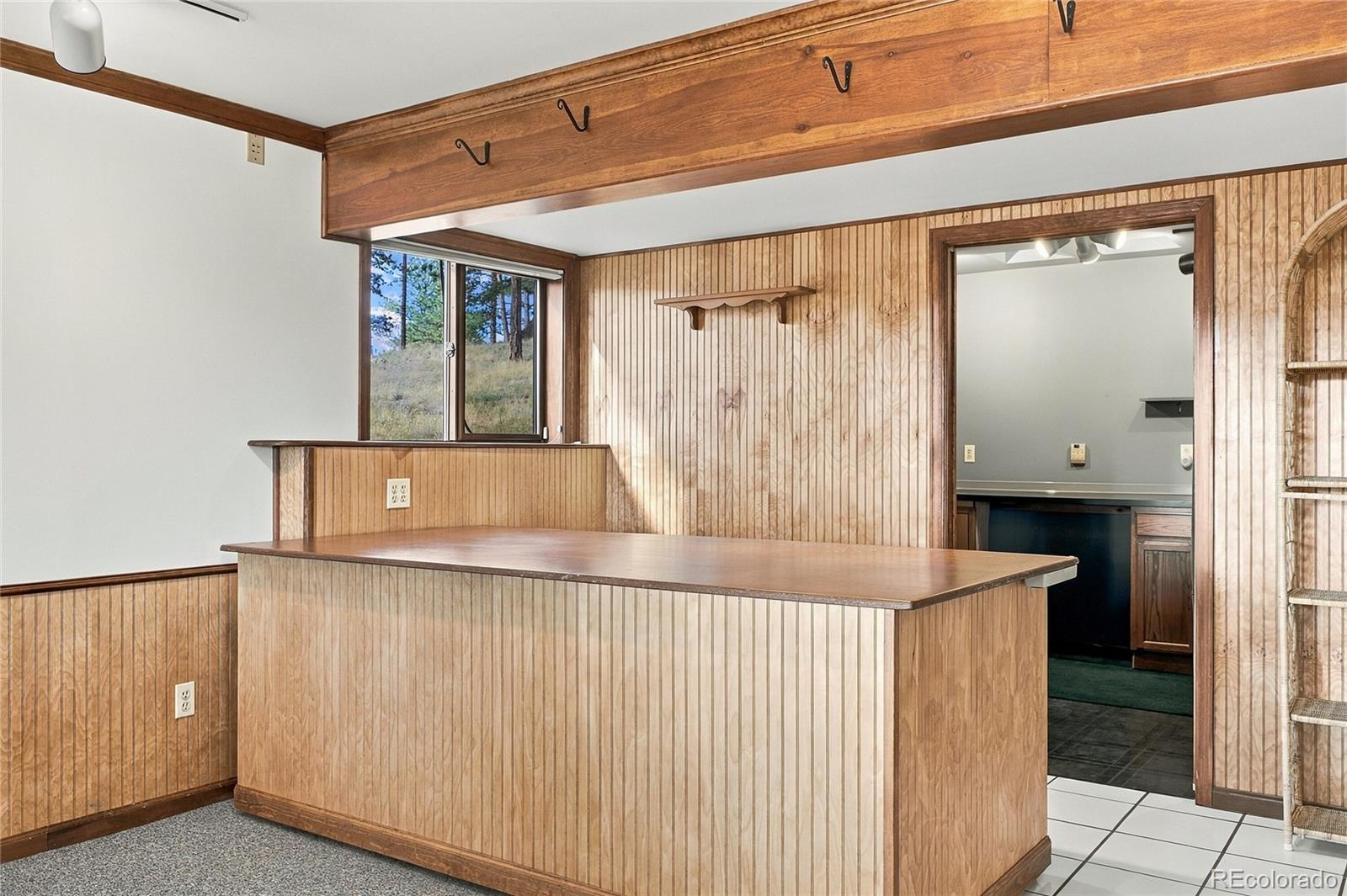 MLS Image #29 for 578  old corral road,bailey, Colorado