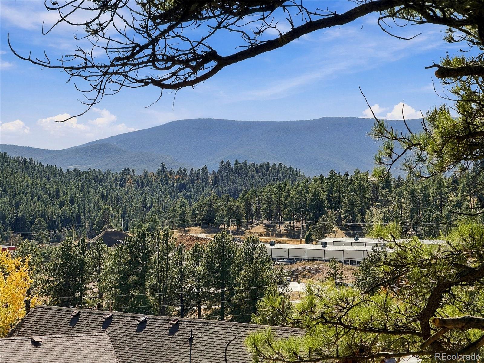 MLS Image #44 for 578  old corral road,bailey, Colorado