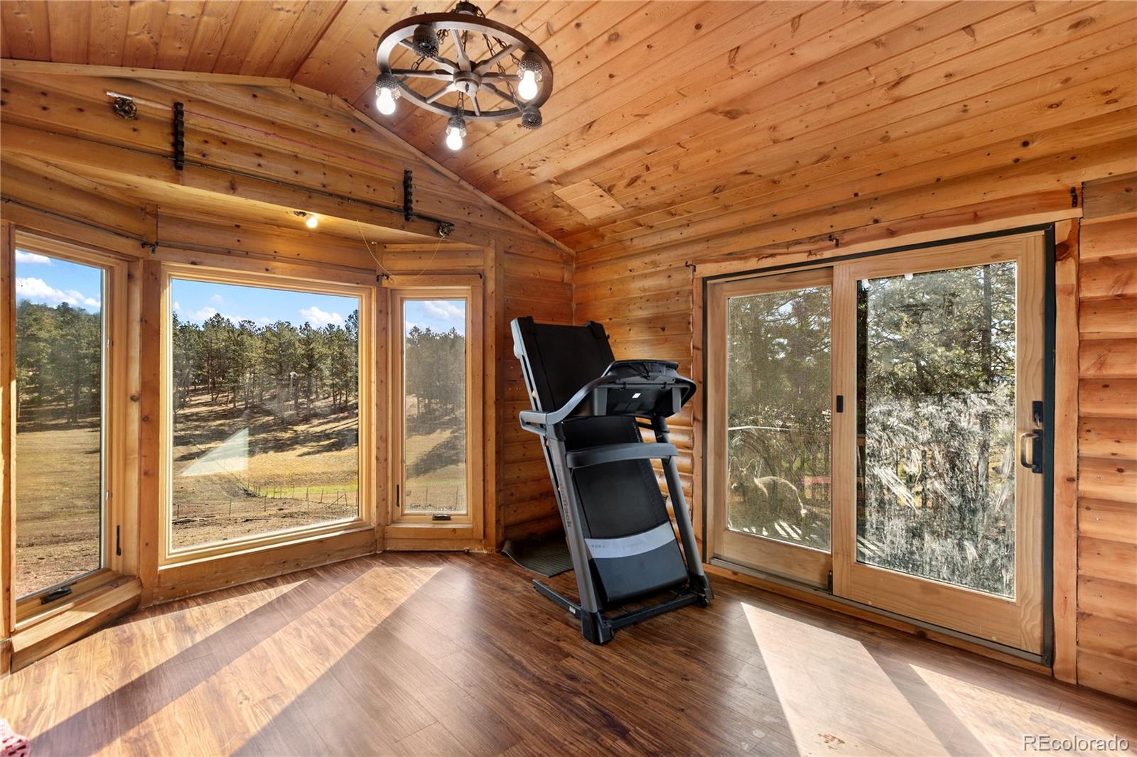MLS Image #14 for 13220  county rd 1 ,florissant, Colorado
