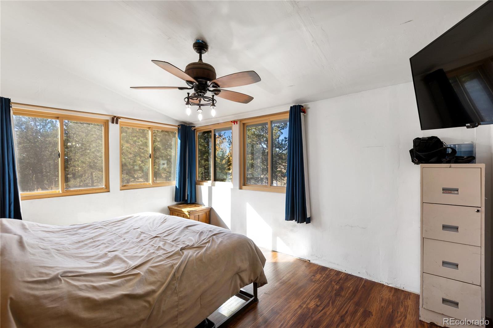 MLS Image #18 for 13220  county rd 1 ,florissant, Colorado