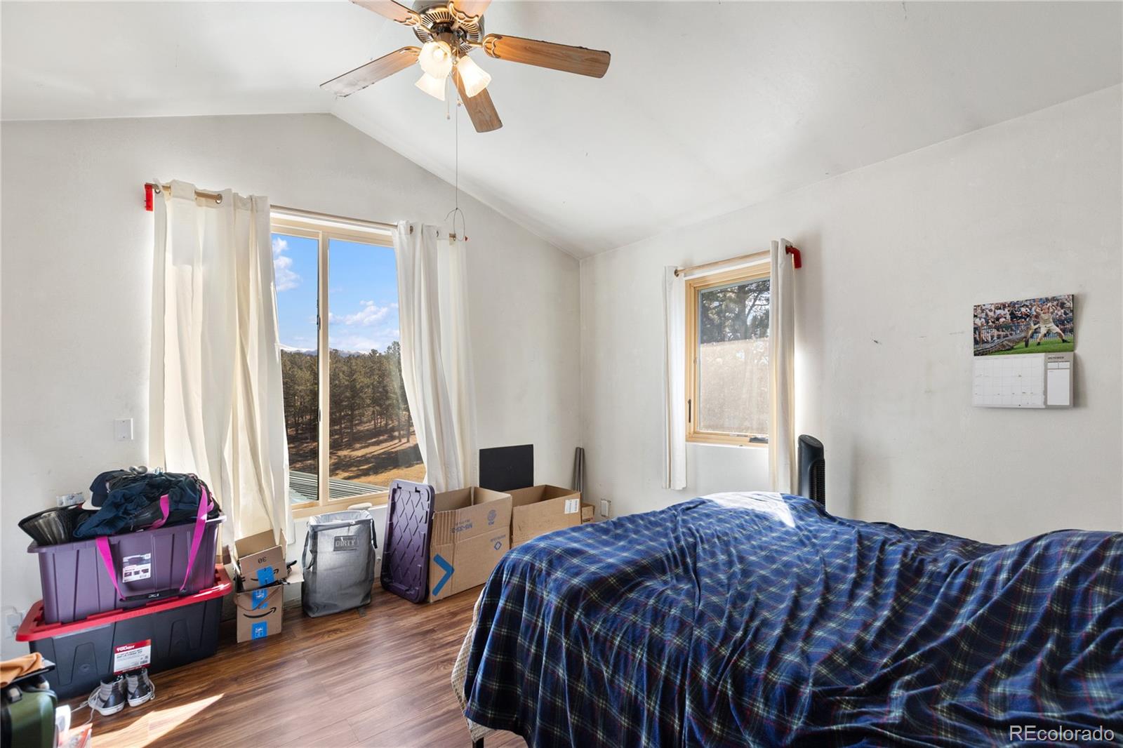 MLS Image #20 for 13220  county rd 1 ,florissant, Colorado