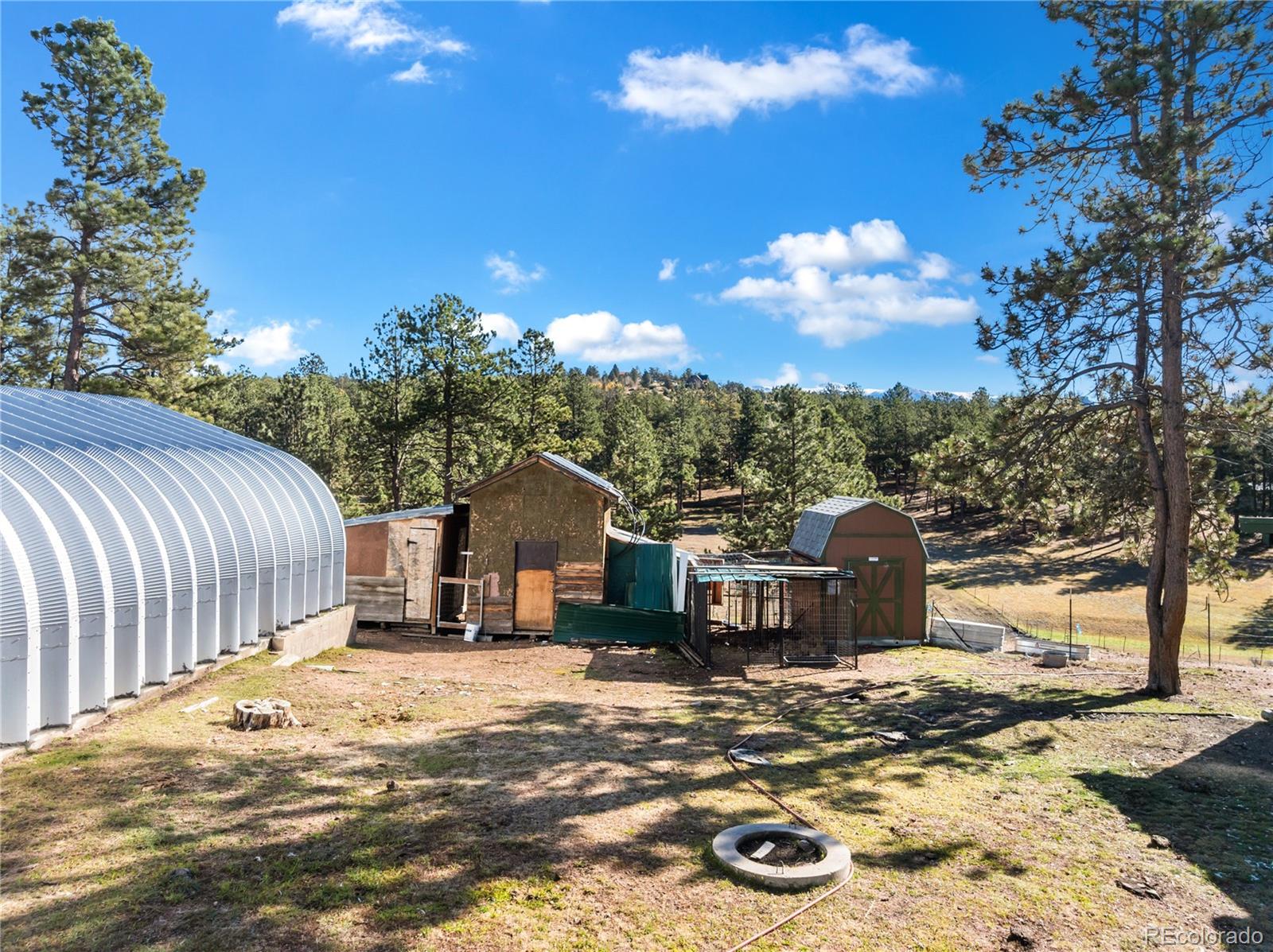 MLS Image #22 for 13220  county rd 1 ,florissant, Colorado