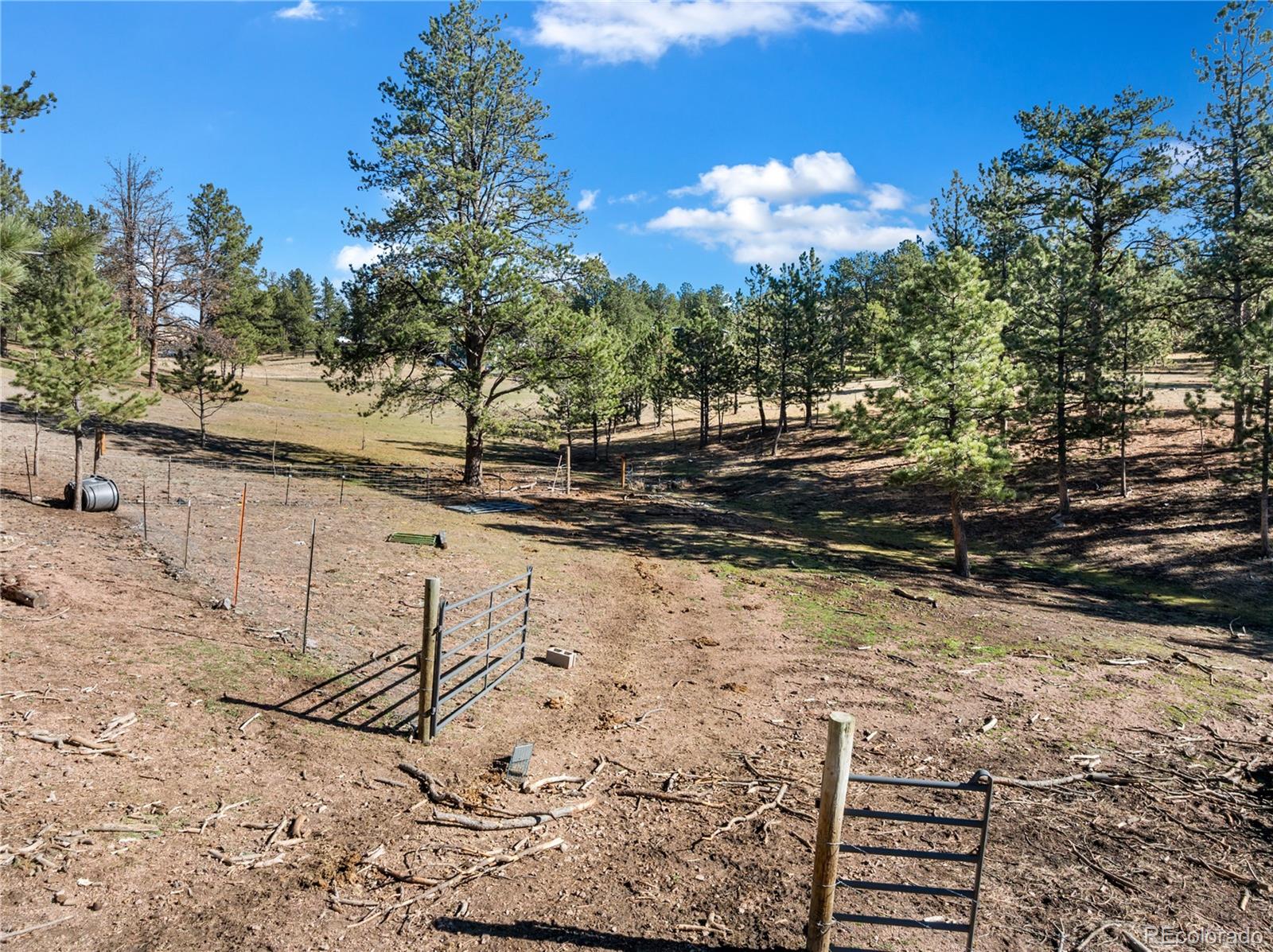 MLS Image #31 for 13220  county rd 1 ,florissant, Colorado