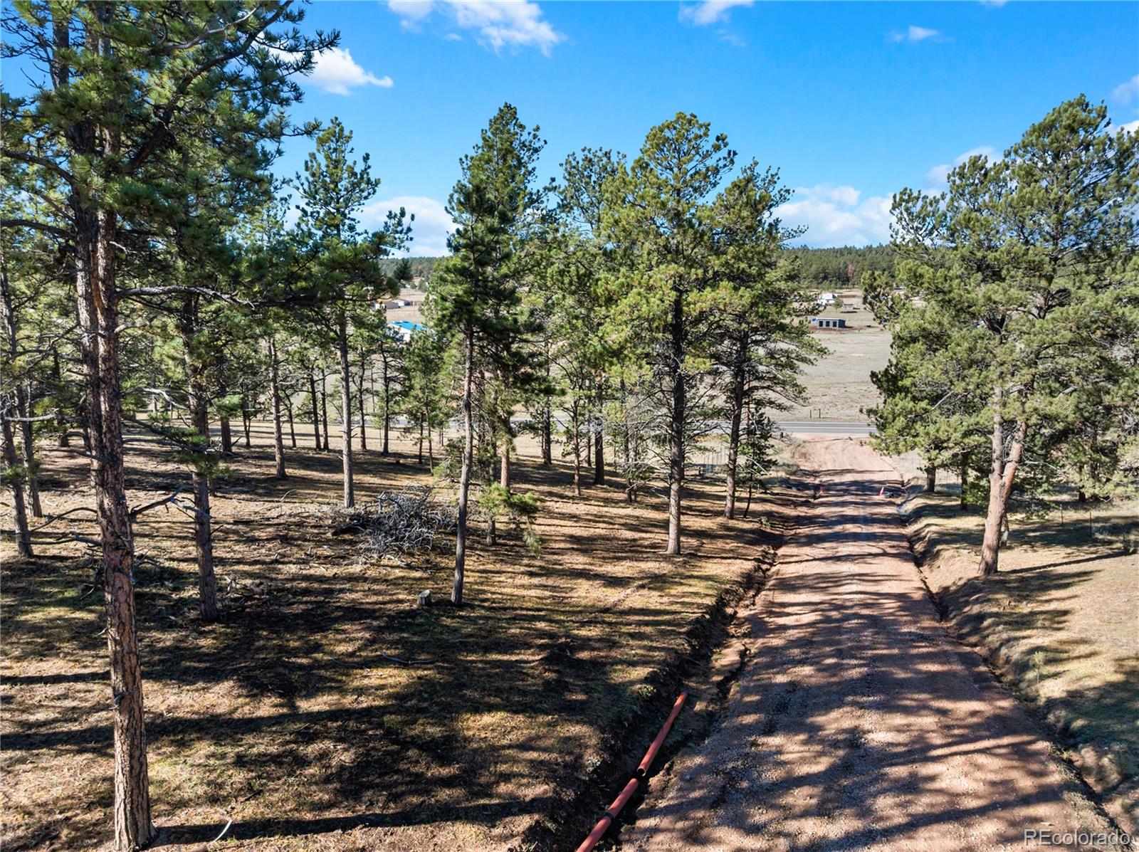 MLS Image #32 for 13220  county rd 1 ,florissant, Colorado