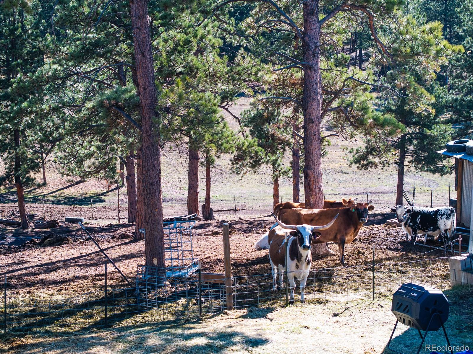 MLS Image #34 for 13220  county rd 1 ,florissant, Colorado